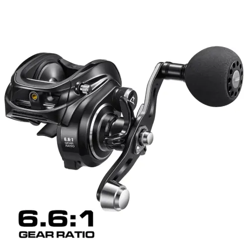 Noir 6.6