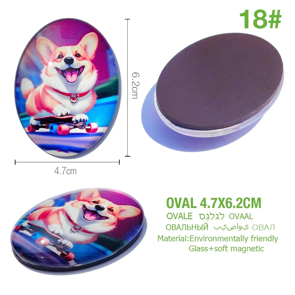 Vue 9 du produit