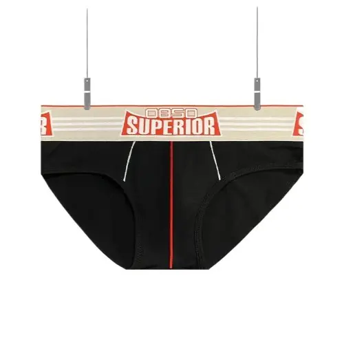 Image de Slips Hommes Coton Taille Basse - Confort & Style