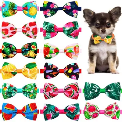 Image de Nœuds Papillon Fruits pour Chiens & Chats - 10 Pièces