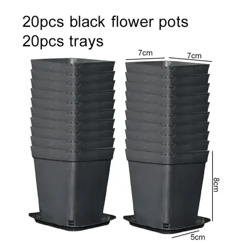 20 pcs TPHP noir