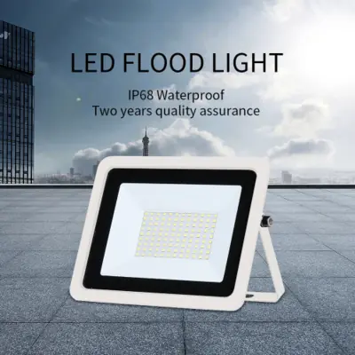 Image de Projecteur LED Extérieur 10W à 100W - Étanche IP68