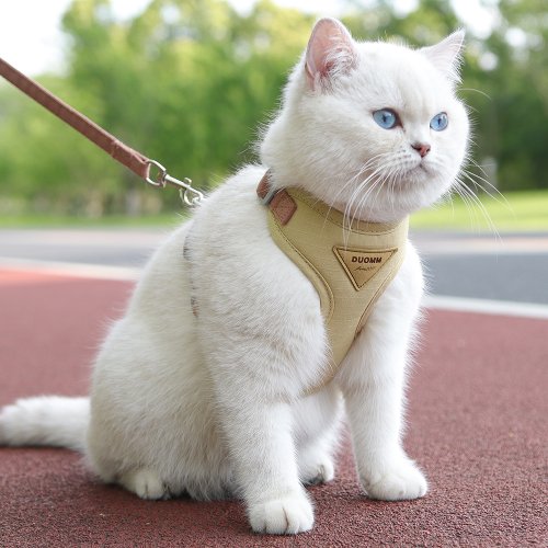 Bild von Modisches und atmungsaktives Haustiergeschirr-Set mit Leine für Katzen und kleine Hunde – Komfortabel, langlebig und sicher für Outdoor-Walks