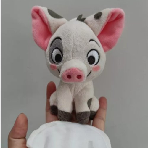 Pig