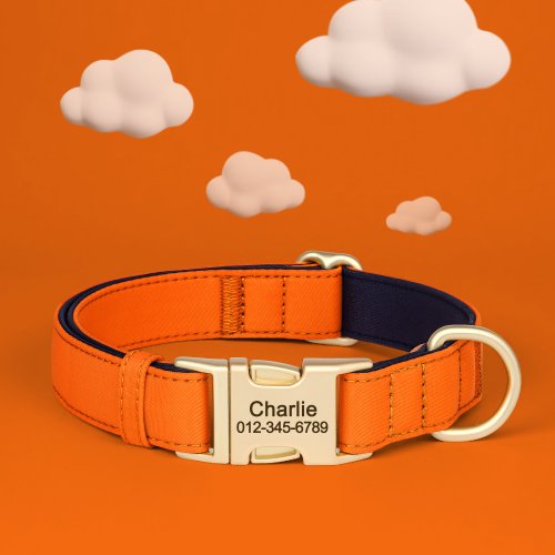 Vue 13 du produit