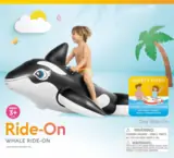 Vue 4 du produit